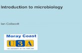 Introduction to microbiology - u3asites.org.uk · What is microbiology? “Microbiology is the study of all living organisms which are too small to be visible with the naked eye”