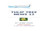 TULIP TREE NEWS 12 - wyereaches.orgwyereaches.org/wp/wp-content/uploads/2020/06/TULIP-T…  · Web viewtulip tree news 12. 6th june 2020. trinity sunday. d-day. 76. th. anniversary