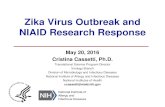 Zika Virus Outbreak and NIAID Research Response · 2016-05-17 · Zika Virus Outbreak and NIAID Research Response May 20, 2016 Cristina Cassetti, Ph.D. Translational Science Program