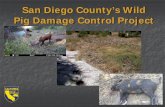 San Diego County’s Wild Pig Damage Control Project › carlsbad › TribalRelations › April 6 2016 › 4_Upd… · in San Diego . Formation of an Inter- governmental Group ...