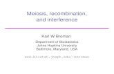 Meiosis, recombination, and interferencekbroman/presentations/meiosis_nz.pdf · Meiosis: production of sex cells Chromosomes duplicate Chromosomes pair up Chr’s exchange material