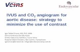 IVUS and CO2 angiogram for aortic disease: strategy to ...chuliege-imaa.be/pdf/presentations_2018/wednesday/1700-Sincos.pdf · IVUS- Ultrassom intravascular IVUS provides real-time