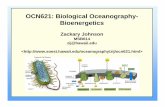 OCN621: Biological Oceanography- Bioenergetics2006/01/11  · Bioenergetics – Definitions (cont) CARBOHYDRATES - Organic molecules consisting entirely of carbon, hydrogen, and oxygen