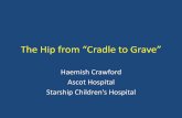 The Hip from Cradle to Grave - Haemish Crawford · 2010-07-20 · • Synovial chondromatosis (loose bodies) • PVNS (pigmented villonodular synovitis) • Septic arthritis • Ligaments