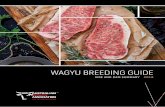 Wagyu Breeding Guide - 2019 | Australian Wagyu Association · Modern Wagyu cattle are also, to an unmeasured extent, the result of joining native Japanese cattle in Japan with imported