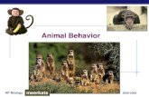 Animal Behavior - SharpSchoolicefvpphs.sharpschool.net/UserFiles/Servers/Server_29660/...everything an animal does & how it does it response to stimuli in its environment innate inherited,