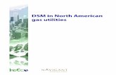 DSM in North American gas utilities · 2017-05-08 · jurisdictional survey, EGD commissioned IndEco Strategic Consulting Inc. and Navigant Consulting Ltd. to carry out the survey.