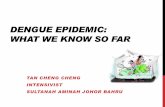 Dengue epidemic: What we know so far Tan Cheng …msic.org.my/filedownloader.asp?filename=asmic2015_Tan...Dengue Virus Genome −A single stranded RNA −Genome is about 11000 ribonucleotides,
