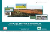 Leaders in Wildlife Science, Management and Conservation - Fish and Wildlife … · 2018-09-14 · Fish and Wildlife Response to Farm Bill Conservation Practices Jonathan B. Haufler,