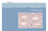 Histology - KSU Facultyfac.ksu.edu.sa/sites/default/files/1_histology.pdf · Eder, et al.: Laboratory Atlas of Anatomy and Physiology, Third Edition 1. Histology Text © The McGraw−Hill