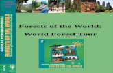 Forests of the World: World Forest Tour...World forest tour 4 cards’ categories about world’sforests. Pages 23-30 To stimulate student participation, use as ice breakers, ideas