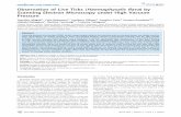 Observation of Live Ticks (Haemaphysalis flava)by Scanning … · 2012-04-14 · Observation of Live Ticks (Haemaphysalis flava)by Scanning Electron Microscopy under High Vacuum Pressure