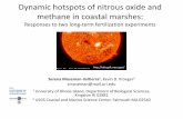 Dynamic hotspots of nitrous oxide and methane in coastal ... › intecol... · Dynamic hotspots of nitrous oxide and methane in coastal marshes: Responses to two long-term fertilization