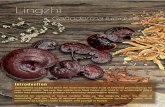 Lingzhi · 2015-08-20 · Ganoderma lucidum has been the most revered herb in all of Chinese pharmacology for over 3,000 years. Yet very few westerners have heard of it, tried it,