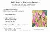 An Outlook to Biothermodynamics - Uni Siegen · living organisms, as for example interferones etc. (cancer,viruses) Yellow BT Pharmaceutical molecules, recombinant proteins, penicilline