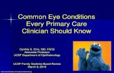 Common Eye Conditions Every Primary Care Clinician Should Know€¦ · Common Eye Conditions Every Primary Care Clinician Should Know Cynthia S. Chiu, MD, FACS Associate Professor