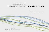 pathways to deep decarbonization - CMC€¦ · Daniel Buira, Instituto Nacional de Ecología y Cambio Climático; Jordi Tovilla. Russia ... (The Energy Research Centre, ERC, University