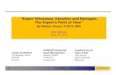 “Expert Witnesses, Valuation and Damages: The Expert’s ......PART I: Defining the Expert Work Needed •Multiple Roles, and Types, of Experts •When Not To Use An Expert • Defining