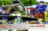 SCHEDULE HORSES IN ACTION - Amazon S3...HORSES IN ACTION The Horses in Action competition comprises horses and ponies which are divided into Show Horse, Show Hunter and Carriage Driving