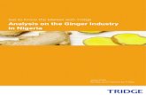 Get to Know the Market with Tridge Analysis on the Ginger Industry …cdn.tridge.com/pdf/Nigeria+-+Ginger_updated.pdf · 2020-06-15 · Analysis on the Ginger Industry in Nigeria