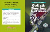 Goliath Beetles: LEELED BOOK J Giant Insects Goliath · the book. Connections Goliath Beetles: Giant Insects G I A N T S O F T H E A N I M A L W O R L D Visit for thousands of books