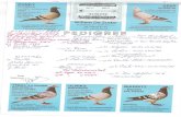 SA Pigeon – Racing pigeon auctions, news & results | South ... · dunky 85/4889539 le prov. kampioen hafo dendervallei '86-'89-'90 32 eerste prijzen 3 x 1st ace pigeon middle distance