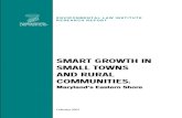 SMART GROWTH IN SMALL TOWNS · 2013-11-15 · Small towns and rural communities sometimes fear that smart growth tools will hinder their economic development. However, communities