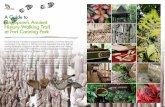 A Guide to Singapore’s Ancient History Walking Trail at ... · Spice Garden You are now walking down the steps that pave the way through the spice garden. This Spice Garden is a