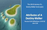 Attributes of A Destiny-Walker - Clover Sitesstorage.cloversites.com/newlifetemplechurch... · 7 Common Attributes of a Destiny Walker James 1:21-25 (NIV) •Therefore, get rid of