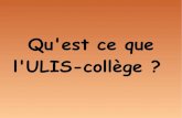 Qu'est ce que l'ULIS-collège - Académie de LyonEE = Équipe Éducative (diapo3) ESS = Équipe de Suivi de Scolarisation (diapo 4) CDAPH = Commission des Droits et de l'Autonomie