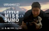 log line - Amazon S3...Shooting Format Finish Format Aspect Ratio Sound Format Language Subtitles Little Miss Sumo 2018 18 mins United Kingdom Documentary Digital 4.5K Widescreen 4K