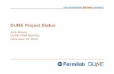 DUNE Project Status - INDICO-FNAL (Indico) · WBS (2), Work Package.WBS (3), Work Package.WBS (4), Work PBudget Earned Actuals SV ($) SV (%) CV ($) CV (%) SPI CPI 131.02 DUNE 11,654