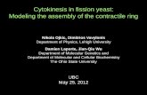 Cytokinesis in fission yeast: Modeling the assembly of the ...athena.physics.lehigh.edu/courses/ubc12/cytokinesis.pdf · Actin filaments modeled as semi-flexible polymers using Langevin