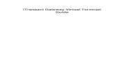 iTransact Gateway Virtual Terminal Guide · 2013-08-01 · When the Virtual Terminal opens, the merchant is greeted with their business name, gateway ID number and the format options