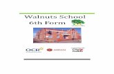 Walnuts School 6th Form - walnuts.milton-keynes.sch.uk · Bedford, Luton, Stevenage, and more. We have sessions at Moulton College with activities such as small animal care, cooking,