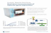 IncuCyte Reporter Gene Assay Real-time measurement of reporter gene … · 2016-02-24 · IncuCyte™ Reporter Gene Assay Real-time measurement of reporter gene expression Real-time