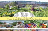 Guide to Setting Up Your Own Edible Rooftop Garden per ORTO SUL TETTO.pdf · 3.3 Build the Infrastructure and Lay out the Garden a. Building the core infrastructure b. Build Garden