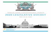 SENIOR OPEN CONGRESSIONAL DEBATE 2020 LEGISLATIVE … · National Speech & Debate Association Senior Open: 2020 LEGISLATIVE DOCKET Preliminary Legislation Item # P-3 A Bill to Institute