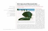 ss and onar strandings: Are beaked Whales the Aquatic ... · mass stranding of beaked whales (Ziphiidae) in the northern Bahamas extend-ing from Grand Bahama to the tip of Abaco (Evans
