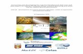 UK Marine Diversity · cover images. The authors would like to thank Prof. John Spicer and Dr. Andy Foggo for their advice on the theory and measurement of “biodiversity”, and