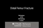 Distal Femur Fracture - McGovern Medical School...Netter's Concise Orthopaedic Anatomy. Philadelphia, PA: Saunders Elsevier, 2010. Questions? Title Microsoft PowerPoint - Distal Femur