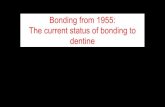 Bonding from 1955: The current status of bonding to dentine · bonding to enamel and dentin Late 1960 ´s Resin Tags Buonocore discusses resin tags as the principal adherents to etched