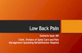 Low Back Pain - BLANK TITLEgims19course.com/.../1/2/...back_pain-isaac__1of1_.pdf · • Not sacroiliitis ... • Back and buttock pain which can ... recurrence of low back pain in