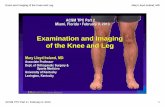 Examination and Imaging of the Knee and Legforms.acsm.org/TPC/PDFs/30 Ireland.pdf · 2013-01-17 · joint space loss 45 Degree Flexed Weight-Bearing PA View is most sensitive for