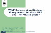 WWF Conservation Strategy, Ecosystems’ Services, PES and ...d2ouvy59p0dg6k.cloudfront.net/downloads/wwfmpogutman.pdf · on the world’s environmental plight THE ECOLOGICAL FOOT