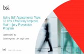 Using Self-Assessments Tools To Cost Effectively Improve ...€¦ · To Cost Effectively Improve Your Injury Prevention Program. Webinar Logistics • All participants are muted •