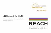UN Network for SUN · Mapping tools • Mapping Actions for Food Security and Nutrition (MafFsN) ... (UNICEF, WFP, IFAD, FAO, WHO) ... • Respond to gov’t requests for support