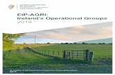To cite this publicaion: Department of Agriculture, Food ... · To cite this publicaion: Department of Agriculture, Food and the Marine. 2019. EIP-AGRI: Ireland’s Operaional Groups