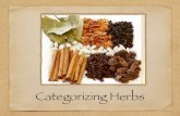 Categorizing Herbs - Hawthorn & Violetearthwisehealing.weebly.com/.../categorizing_herbs.pdfCategorizing herbs by their degree of action 1st degree- have no immediate discernible effect