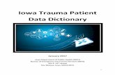 Iowa Trauma Patient Data Dictionary 2017 1 Iowa Trauma Patient Data Dictionary January 2017 Iowa Department